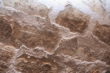 Minéralisant Guard® H Minéralisant Guard® H