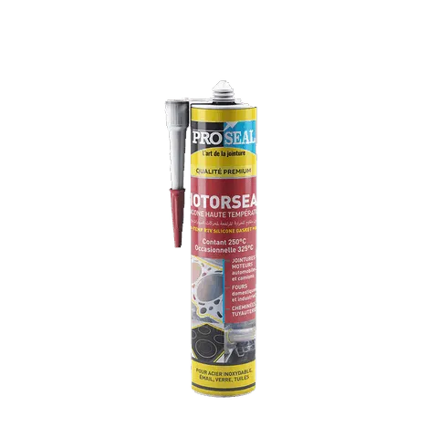 MOTORSEAL